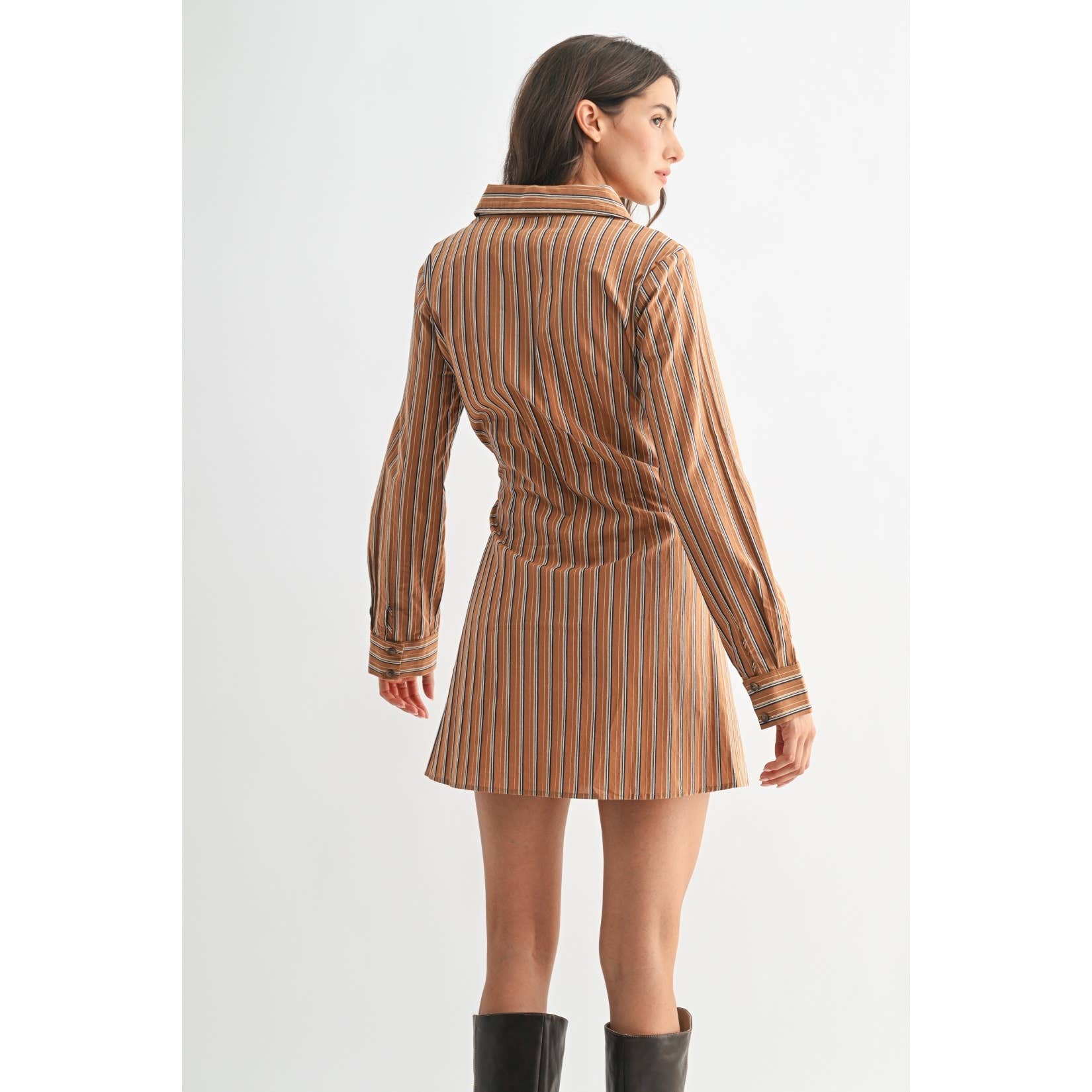 Striped Collared Shirt Dress