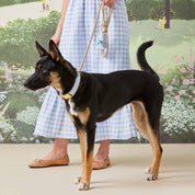 Sky Blue Gingham Waste Bag Holder