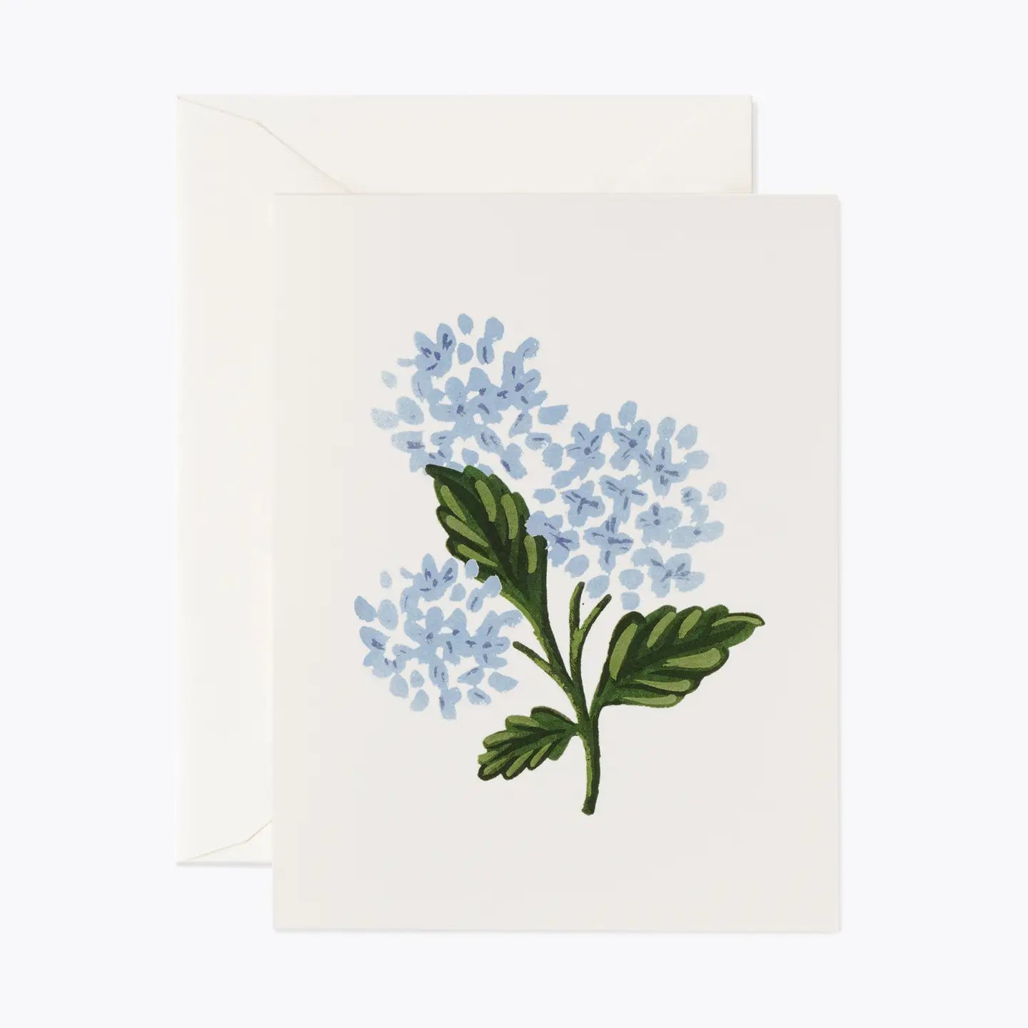 Hydrangea Bloom Card