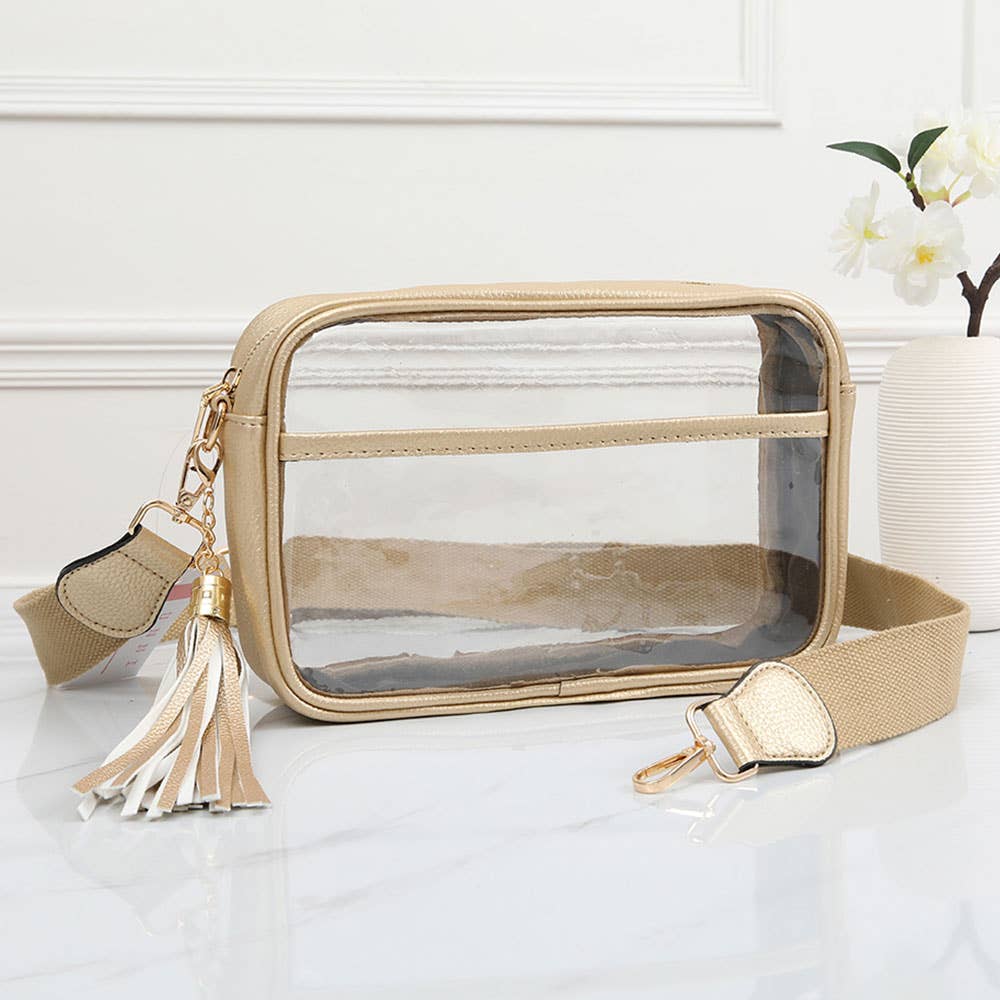 Faux Leather Transparent Rectangular Crossbody Bag: Clear,Silver