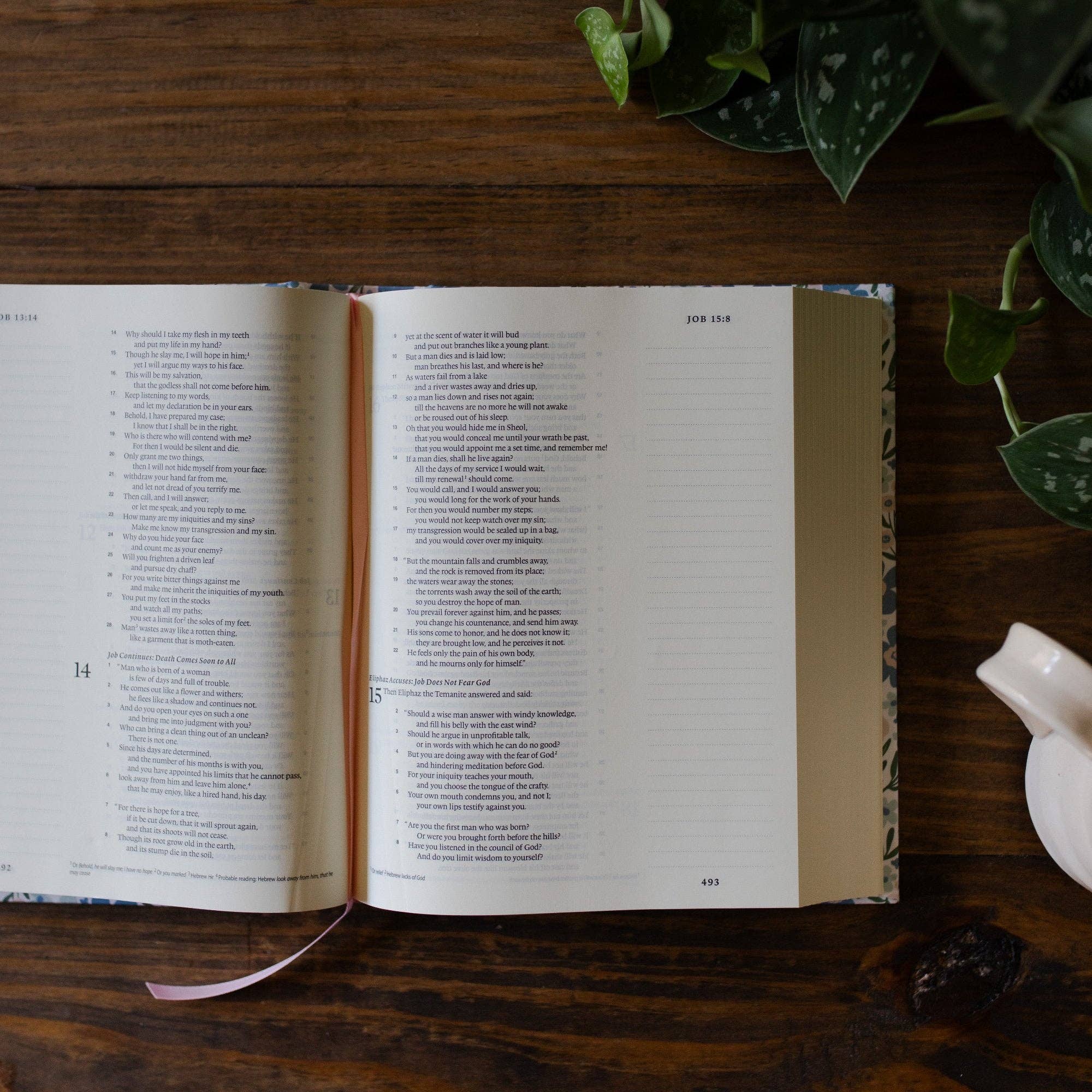 ESV Single Column Journaling Bible