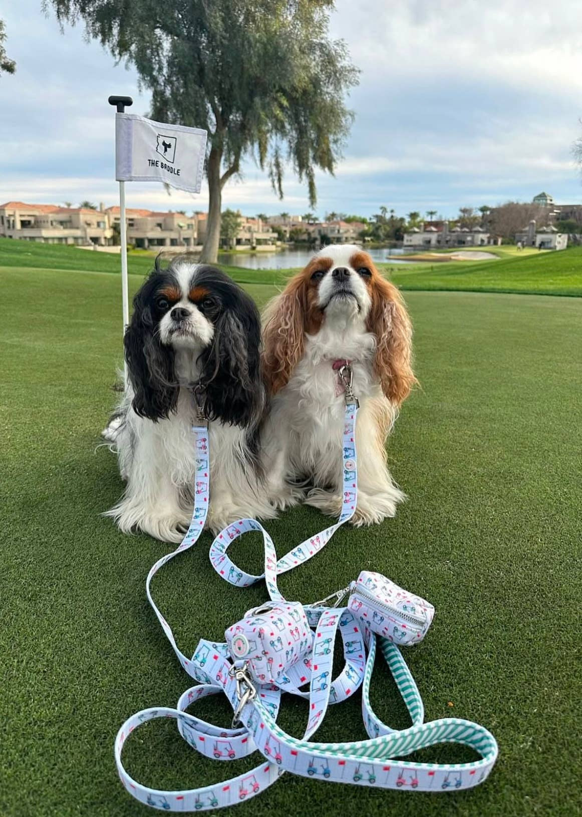 Golf Cart Waste Bag Holder