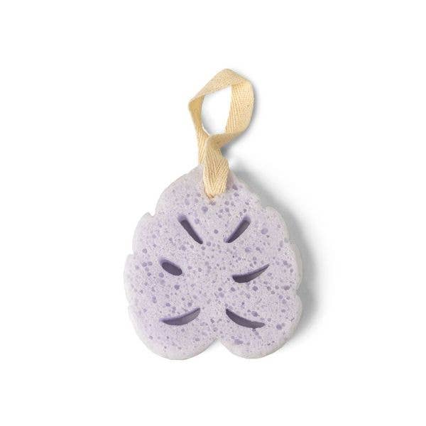 In The Buff Super Sudsy Soap Sponge