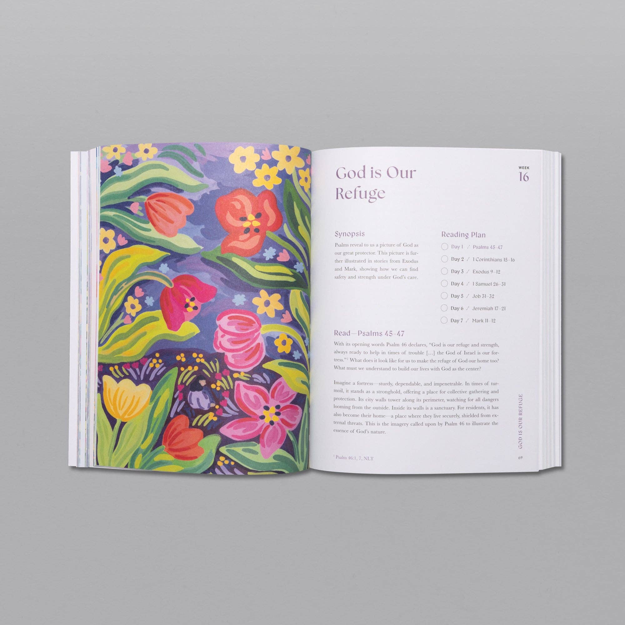 Hardcover A Beautiful Year 52-Week Bible Study