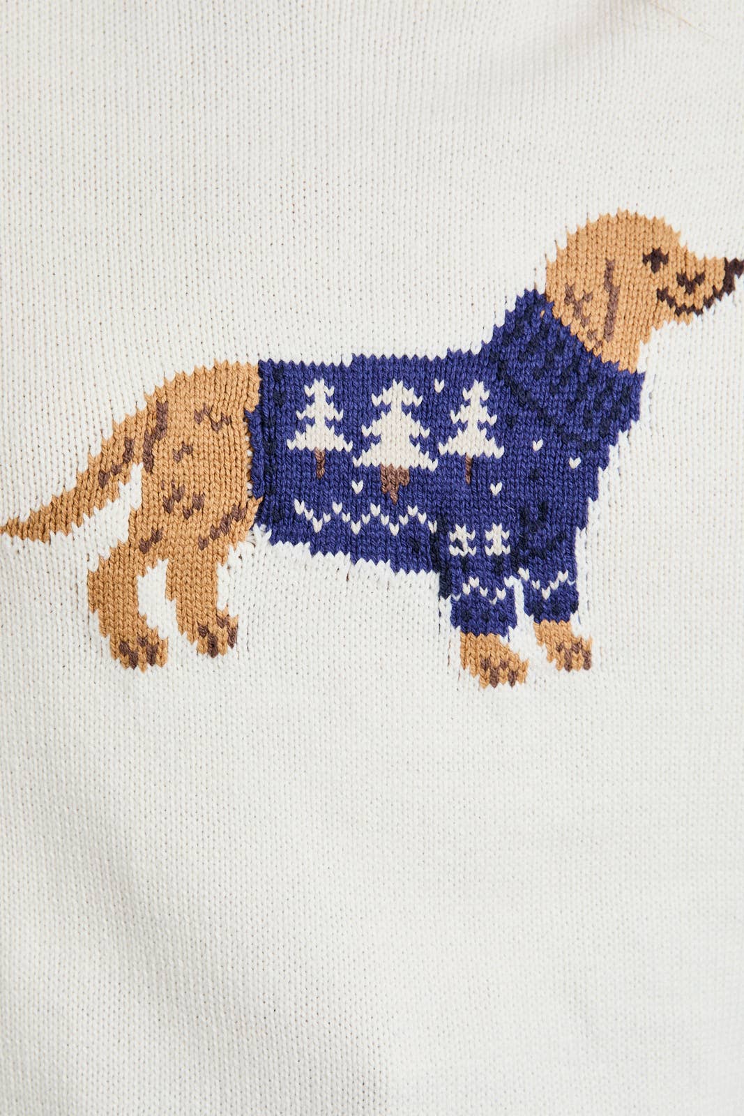 Ivory Dog Sweater