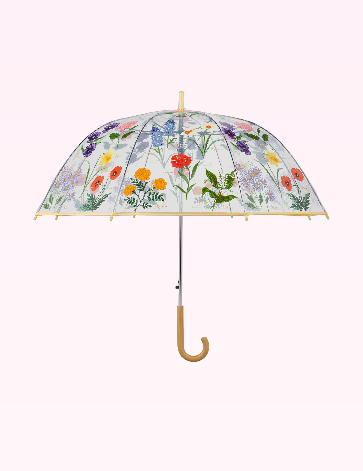 Ninety Nine Boutique super-pale pink accessory product photo: Garden Study Clear Umbrella (September 30, 2026)