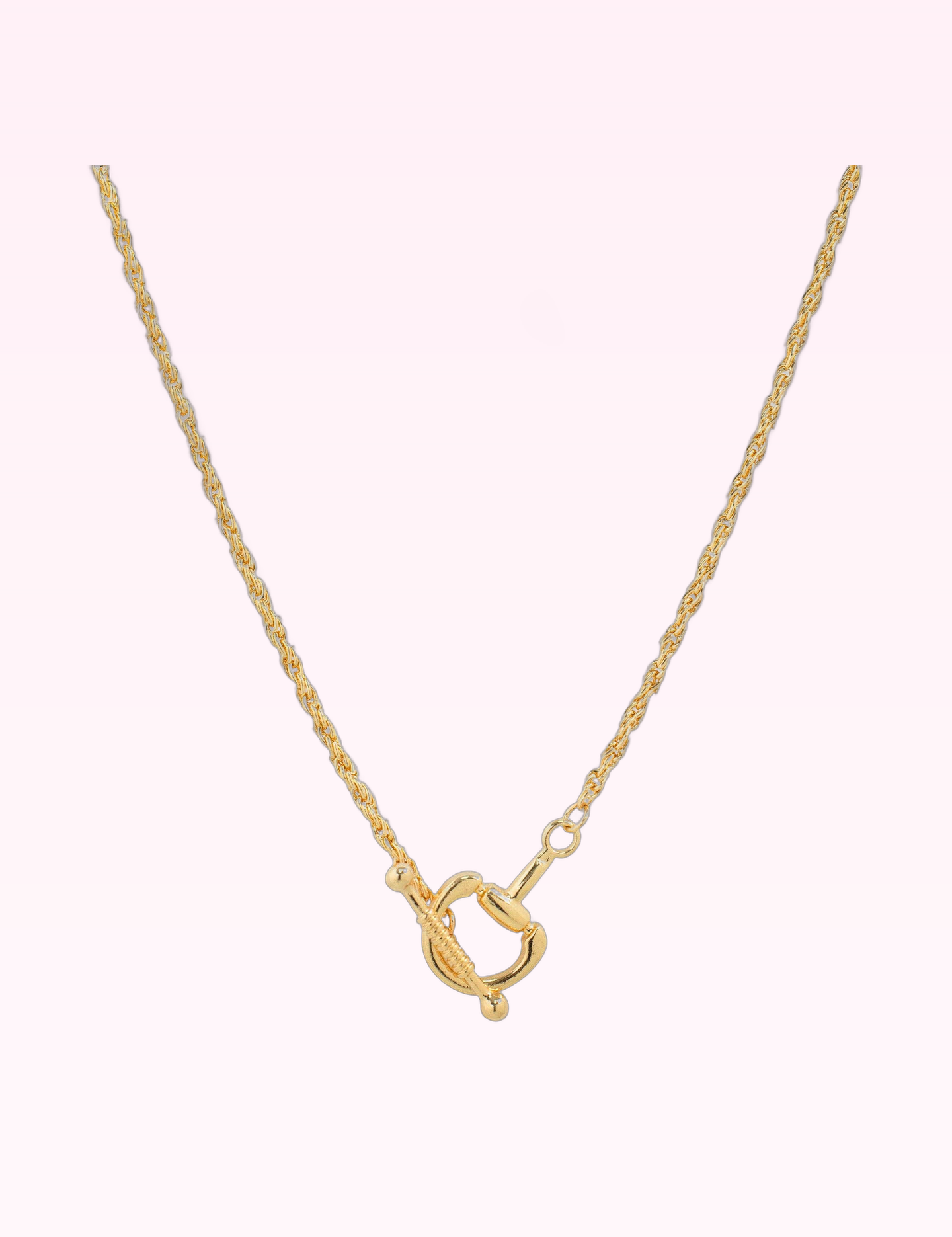 Ninety Nine Boutique super-pale pink accessory product photo: Horsebit Toggle Rope Chain Necklace (September 30, 2026)