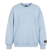 AI-assisted FASHN garment-only white-background product photo of Light Blue Sweatshirt Lulu Mac; approved September 24, 2026.