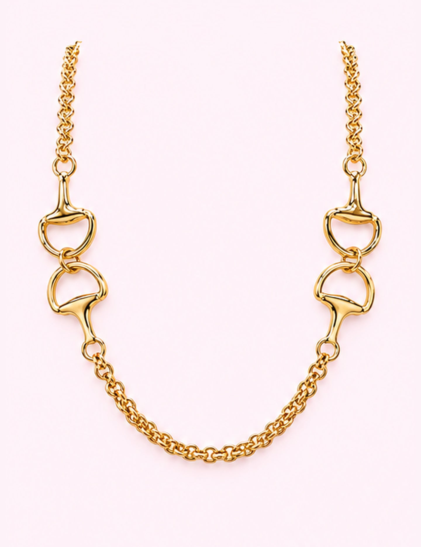 Ninety Nine Boutique super-pale pink accessory product photo: Gold Horsebit Chained Necklace (October 1, 2026)