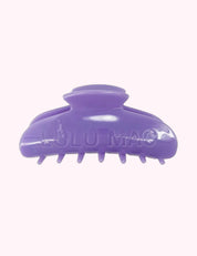Ninety Nine Boutique super-pale pink accessory product photo: Purple Hair Clip Lulu Mac (October 2, 2026)