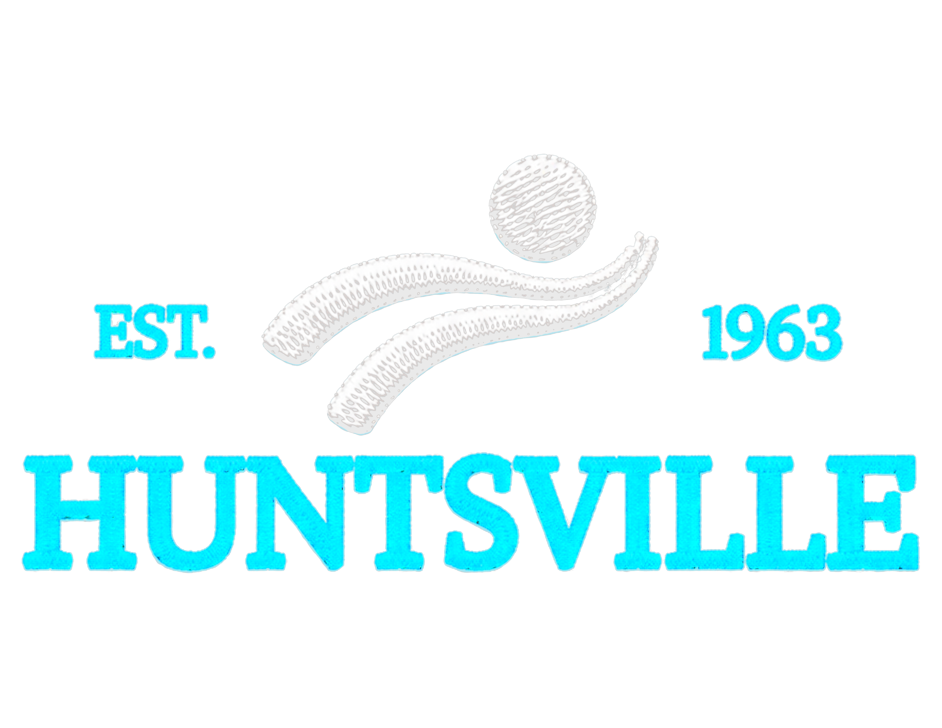 Print File 11x8.5 Back - UCP Huntsville | Est. 1963 Huntsville (DTF Vinyl)